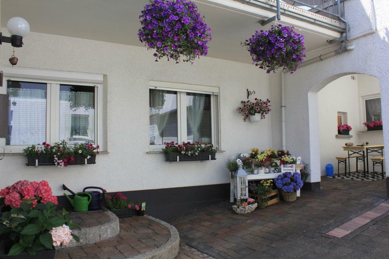 Ferienwohnung-Kiefer Hillscheid Ngoại thất bức ảnh